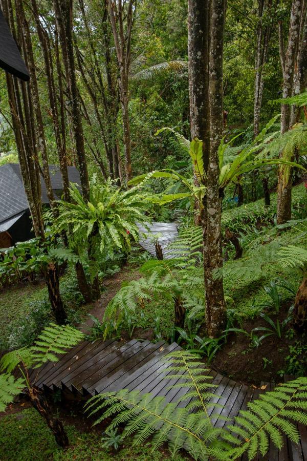 Villa Cliffside Bamboo Treehouse With Heated Pool And View *